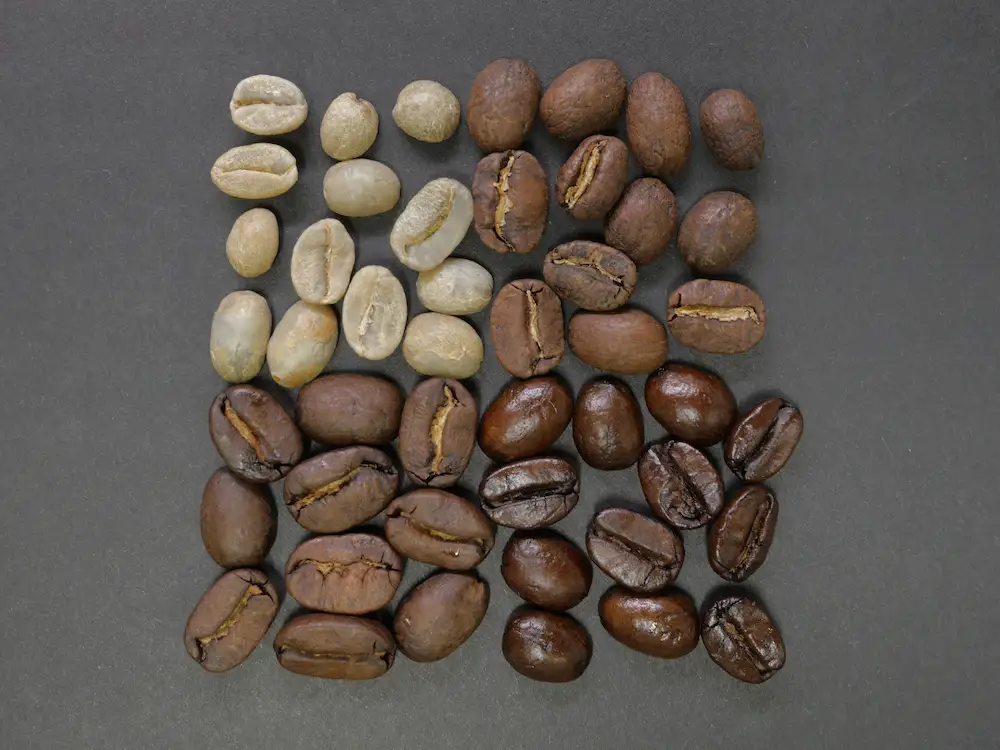 The 4 Types of Coffee-Roasts