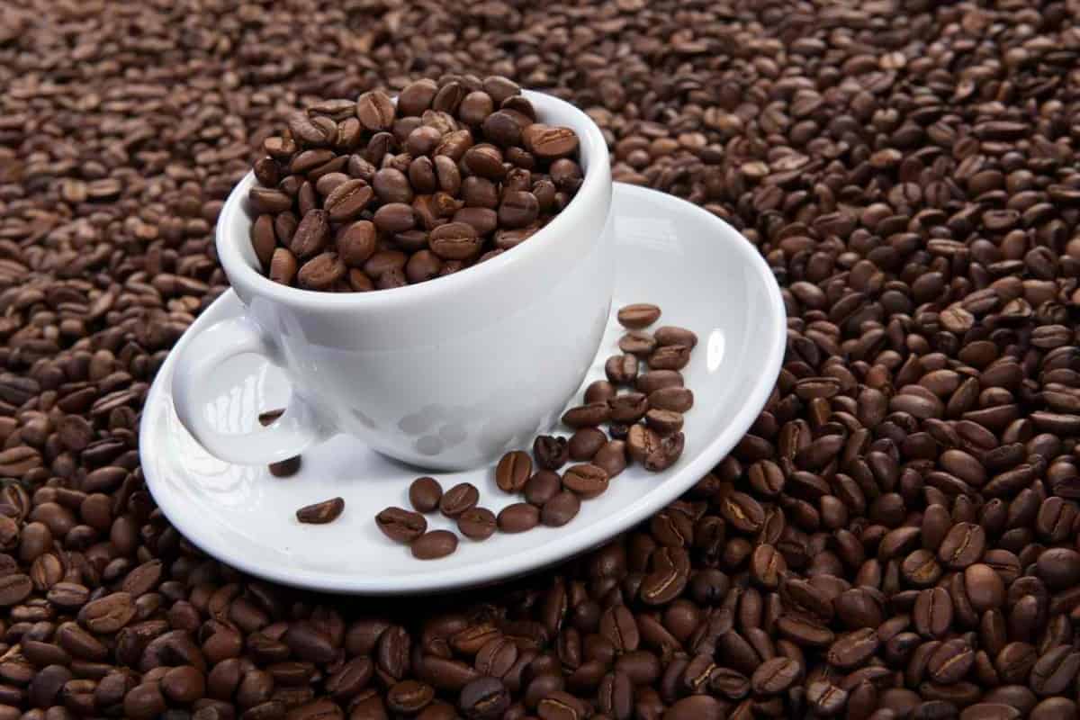 A white cup and saucer over-roasted coffee beans.