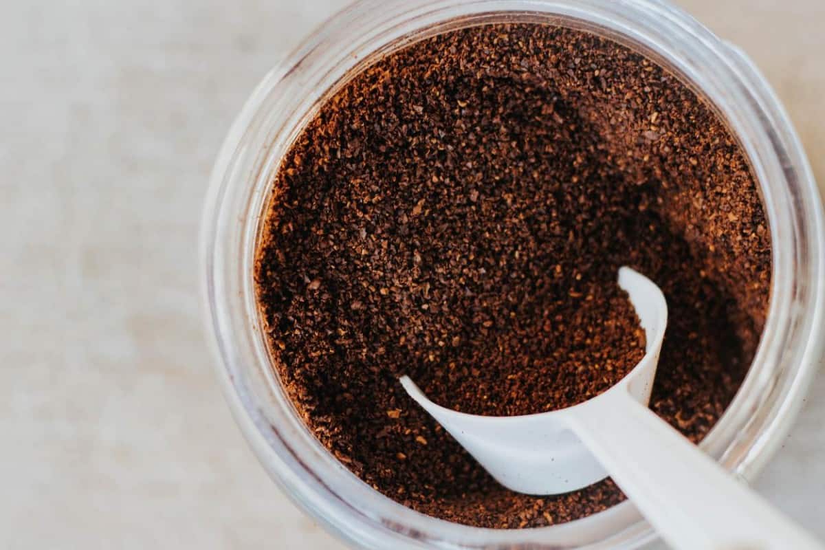 Coffee grounds in jar with a scoop.