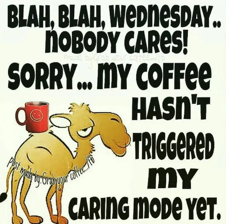 Wednesday Coffee Memes