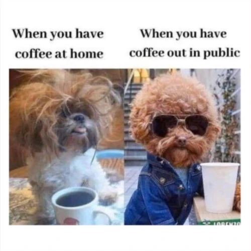 A dog with coffee first looking messy then dressed up