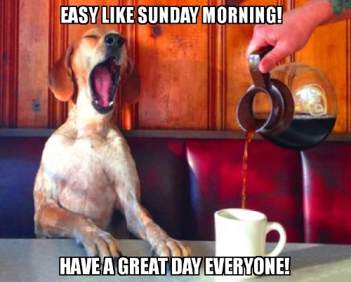 11 Funny Sunday Coffee Memes for 2023 - That Will Make You LOL