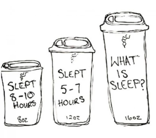 three coffee cups of different sizes according to sleep hours