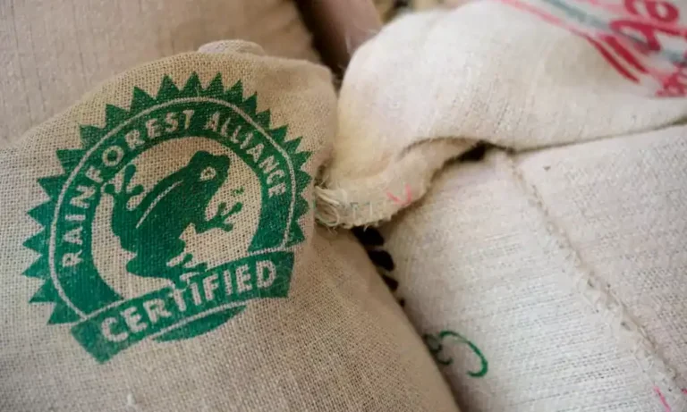 coffee certifications rainforest alliance