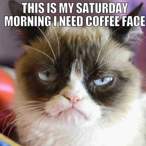 saturday-morning-coffee-meme.webp