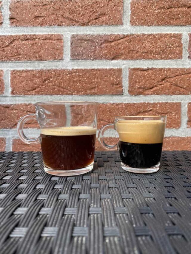 nespresso-lungo-vs-espresso-768x1024